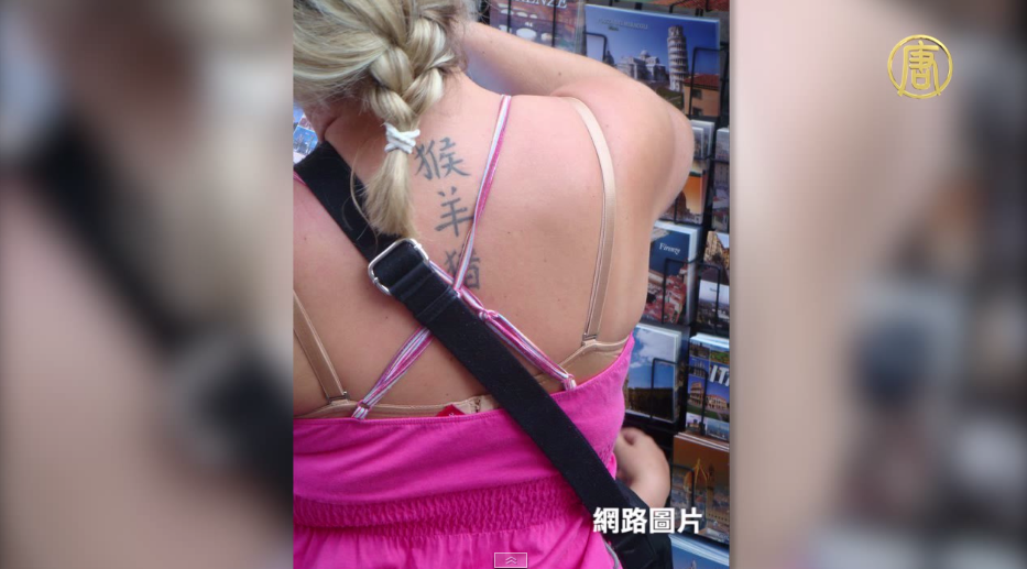 猴羊豬